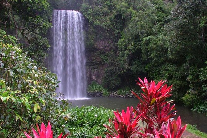 Day Tour to Paronella Park, Lake Barrine and Millaa Millaa Falls - Getting From Cairns to the Atherton Tablelands Without Stress