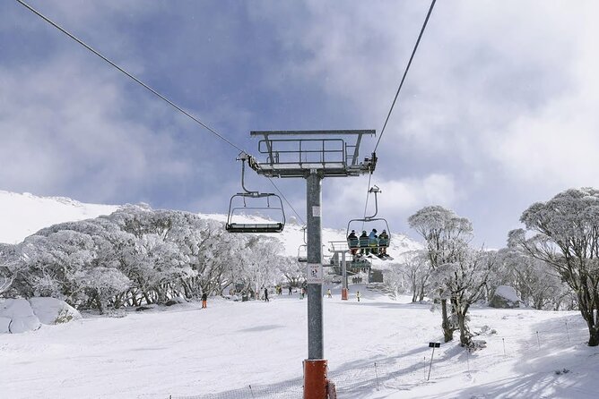Day Trip To Snowy Mountains From Sydney - Private transfers, bottled water, and onboard Wi‑Fi on request
