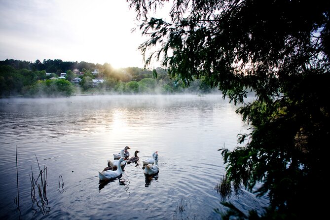 Daylesford Goldfields Track Walking and Wellness Experience - Goldfields Track walking plus Hepburn wellness: what this trip feels like