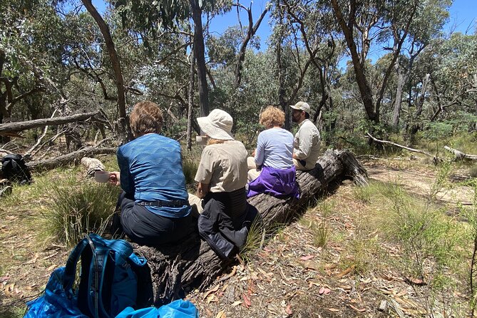 Daylesford Goldfields Track Walking and Wellness Experience - Day 4: Daylesford and the Holy Cross Convent Convent Gallery