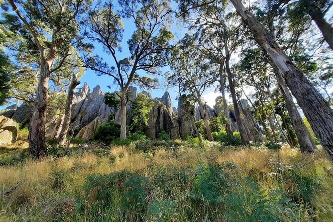 Daylesford Goldfields Track Walking and Wellness Experience - Is this tour right for your fitness and comfort level?
