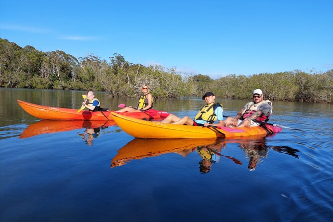 Daytime Kayak Eco Tour of New South Wales - Key highlights you’ll care about