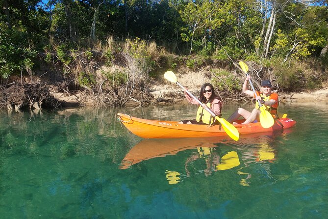 Daytime Kayak Eco Tour of New South Wales - Why this Coffs Harbour kayak tour feels different than a standard paddle