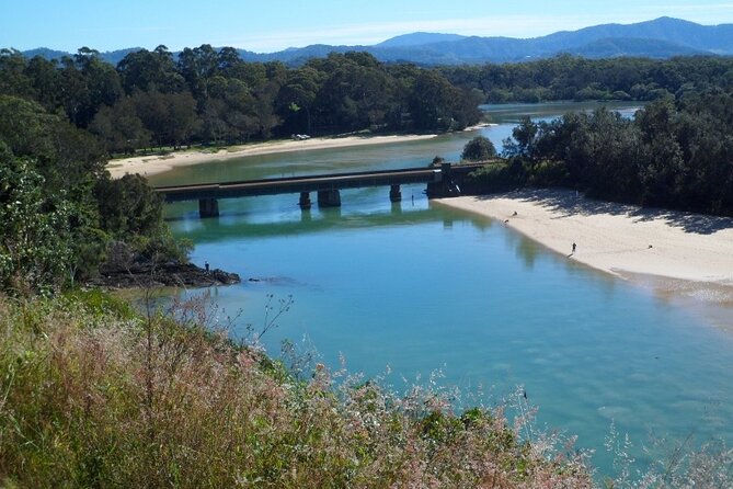 Daytime Kayak Eco Tour of New South Wales - A guide who keeps it engaging (including the fun bits)
