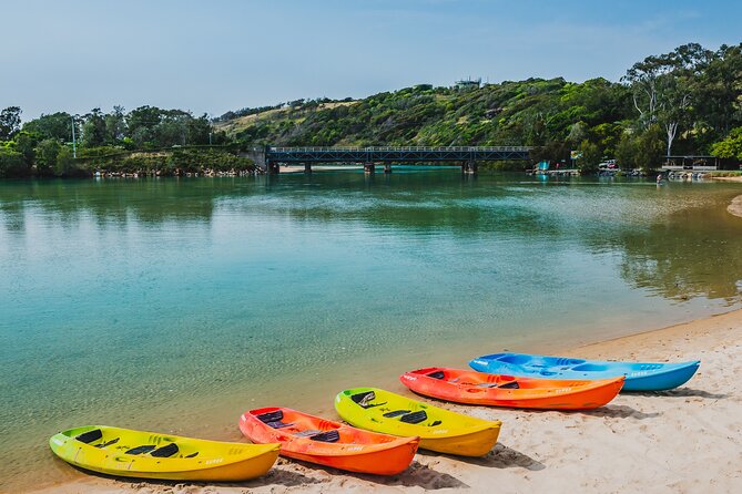 Daytime Kayak Eco Tour of New South Wales - Photos without the awkward end-of-tour scramble