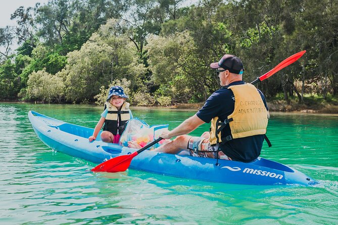 Daytime Kayak Eco Tour of New South Wales - Getting on the water: paddling basics, sit-on-top comfort, and safety gear