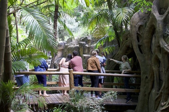 Daytime Scenic Rim Glow Worm Tour + Hop on Hop off Bus - Tamborine Mountain Glow Worm Caves: why the habitat design matters