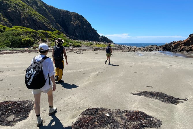 Deep Creek Hike: Trails and Tales with a Foreign Flair - The steep parts and scrambling: how to stay in control