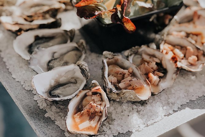 Deep-to-Dish: Tasmanian Seafood Experience - The Cuttlefish ride: comfort plus real ocean views
