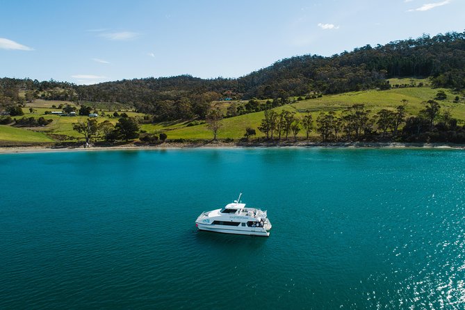Deep-to-Dish: Tasmanian Seafood Experience - Cheese platters, drinks, and the dessert finish that people remember