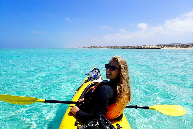 Deluxe Mega Fauna Humpback or Whaleshark Swim Ningaloo Reef - Who This Tour Fits Best (and Who Should Reconsider)