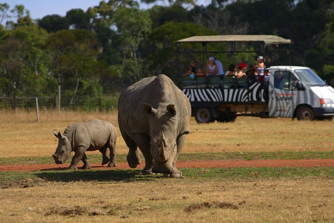 Deluxe Safari Adventure at Werribee Open Range Zoo - excl. entry - Key highlights before you go