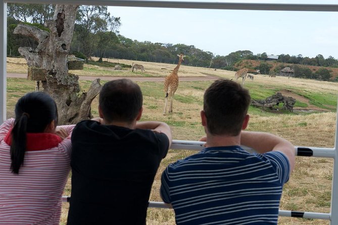 Deluxe Safari Adventure at Werribee Open Range Zoo - excl. entry - Comfort Tips: Layers, Blankets, and How to Stay Warm