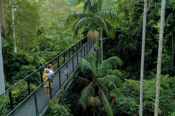 Deluxe Springbrook & Mt Tamborine Glow Worms and famous Skywalk - Key highlights worth knowing