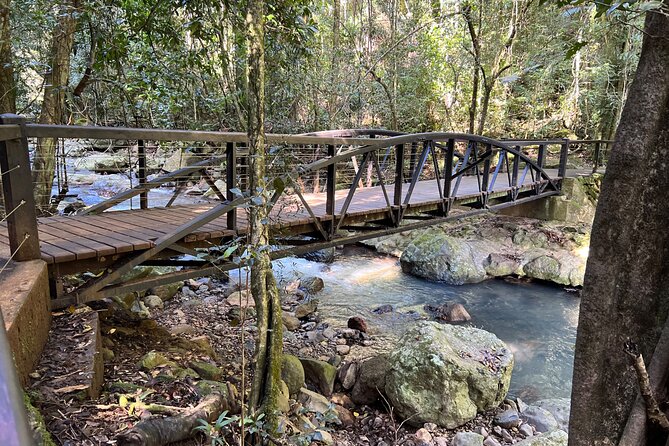 Deluxe Springbrook & Mt Tamborine Glow Worms and famous Skywalk - Mt Tamborine Gallery Walk: fudge, local snacks, and a breather