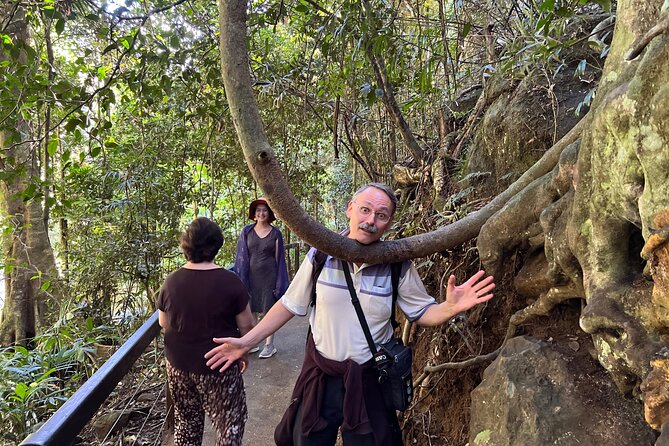Deluxe Springbrook & Mt Tamborine Glow Worms and famous Skywalk - Tamborine Mountain Glow Worm Caves: manmade caves with real magic