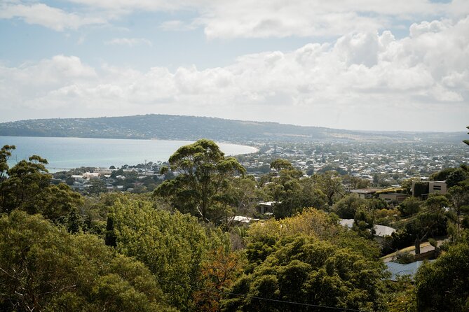 Depart Peninsula: Mornington Wine & Hot Springs Tour with Lunch - Price and value: what you’re really paying for