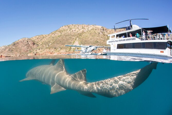 Derby to Horizontal Falls Half Day Adventure - Fast Boat Thrills: Running the Falls by Power and Timing