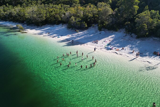 Dingos 2 Day K'Gari (Fraser Island) 4WD Tag-Along Tour - What you’re really signing up for on K’Gari