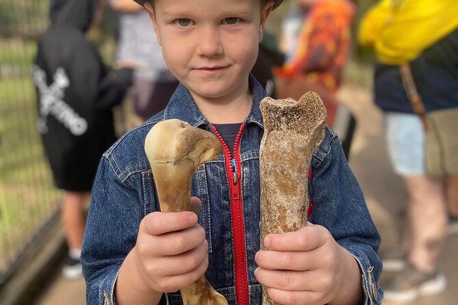 DINOSAUR and FOSSIL ZOO TOUR Rockhampton - Key highlights worth your time