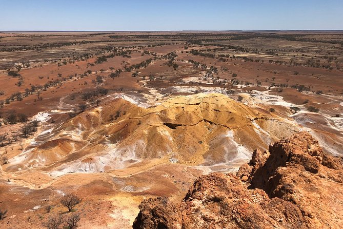 Dinosaur Stampede 3/4 Day Tour from Winton - Key points to know before you go