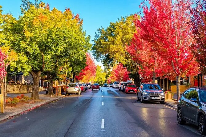 Discover Charms of Hahndorf & Hills (Full Day Tour) - Mount Lofty Summit: The Adelaide Hills View in 15 Minutes