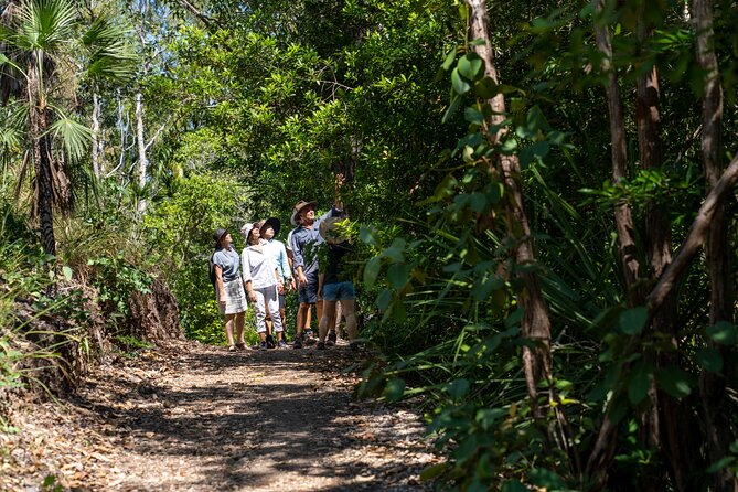 Discover Darwin Harbour 1 hour Darwin Harbour Cruise - Shipwrecks, WWII Bombings, Cyclone Tracy, and More in One Hour