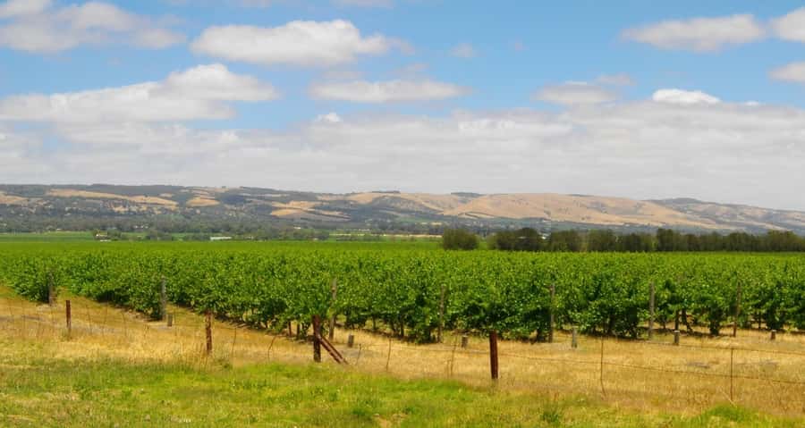 Discover Hahndorf & Taste McLaren Vale - Hahndorf’s German village: walking, photos, and shopping in 60 minutes