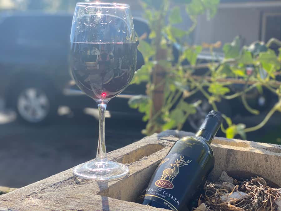 Discover Hahndorf & Taste McLaren Vale - FruChocs at Menz: the sweet stop that actually breaks the day