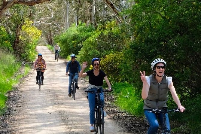 Discover McLaren Vale on eBikes - Full Day - Why e-bikes work so well for McLaren Vale and Willunga