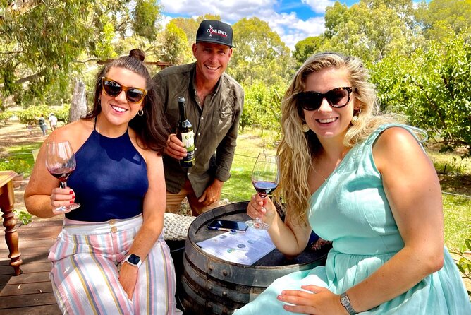 Discover McLaren Vale on eBikes - Full Day - Who should book this e-bike McLaren Vale day
