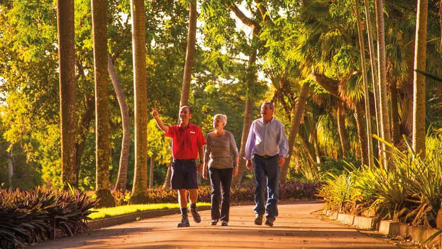 Discover the City of Darwin: Half-Day City Coach Tour - Key things that make this Darwin tour work