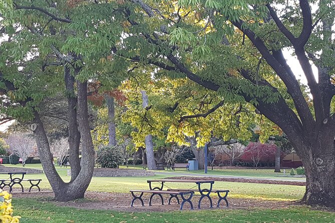 Discover Toowoomba Tours - How This Toowoomba Tour Works (and why it feels easy)