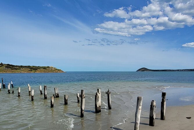 Discover Victor Harbor Walking Tour - Key highlights you’ll feel fast
