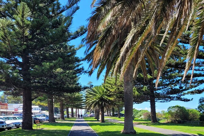 Discover Victor Harbor Walking Tour - Starting at the Horse Drawn Tramway Esplanade