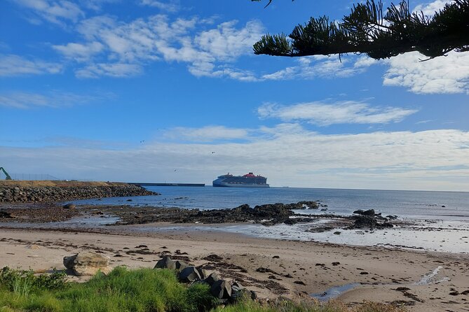 Discovering Tasmania: Burnie Shore Excursion - Who this Burnie excursion suits best