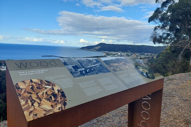 Discovering Tasmania: Burnie Shore Excursion - Should you book Discovering Tasmania: Burnie Shore Excursion?
