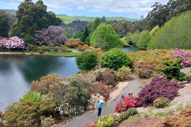 Discovering Tasmania: Burnie Shore Excursion - Emu Valley Rhododendron Gardens and its easy walking paths