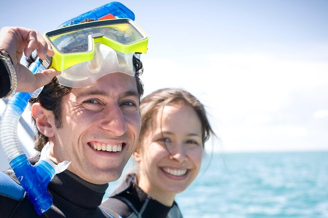Dolphin and Seal snorkel adventure from Sorrento - The dolphin snorkel: how the guides time the encounter
