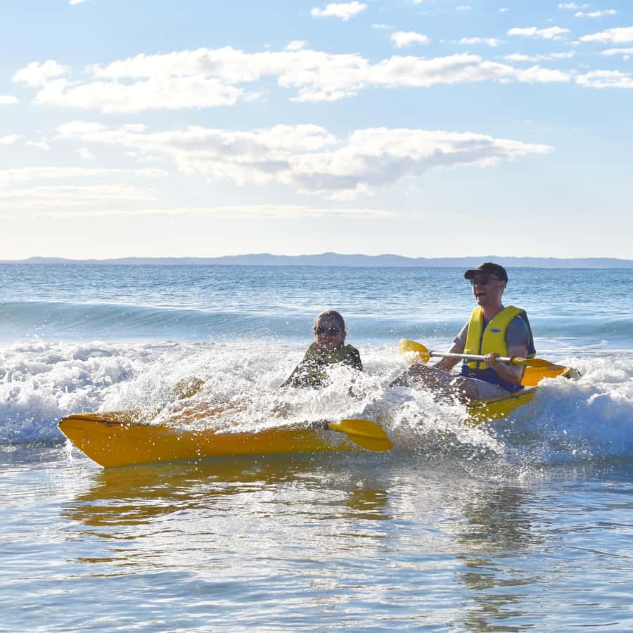 Dolphin Kayak Tour & Beach 4X4 National Park Tour (Private) - What Your Local Guide Teaches You (Flora, Fauna, and Stories)