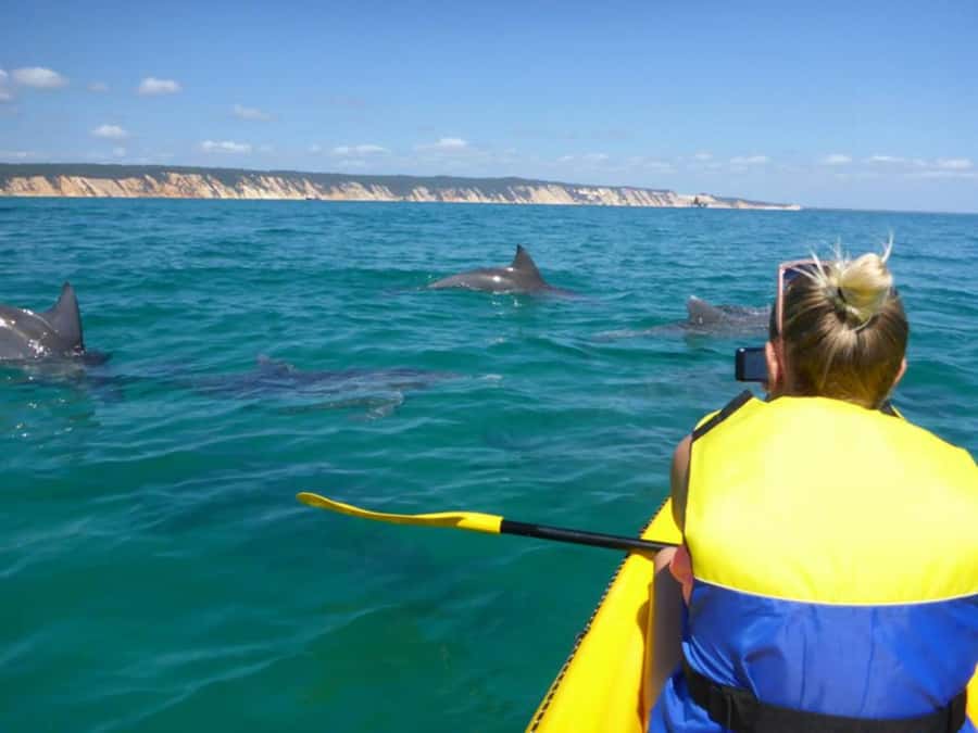 Dolphin Kayak Tour & Beach 4X4 National Park Tour (Private) - Price and Value: Private for Up to 6 People