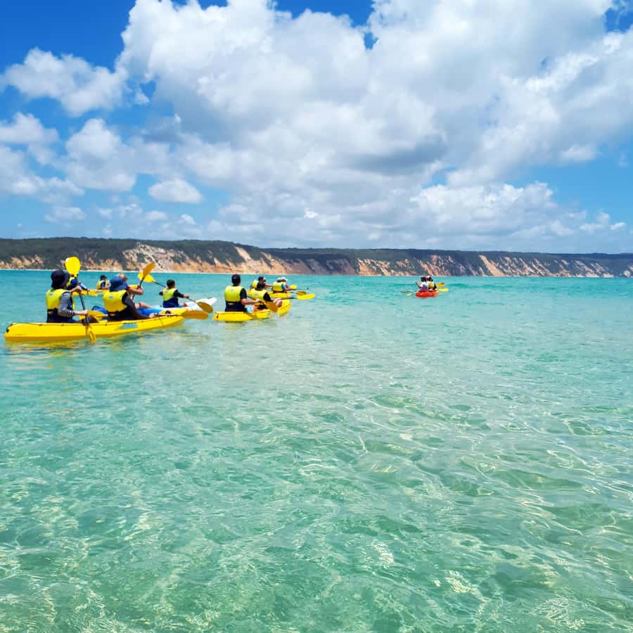 Dolphin Kayak Tour & Beach 4X4 National Park Tour (Private) - What to Pack (So the Day Feels Easy)
