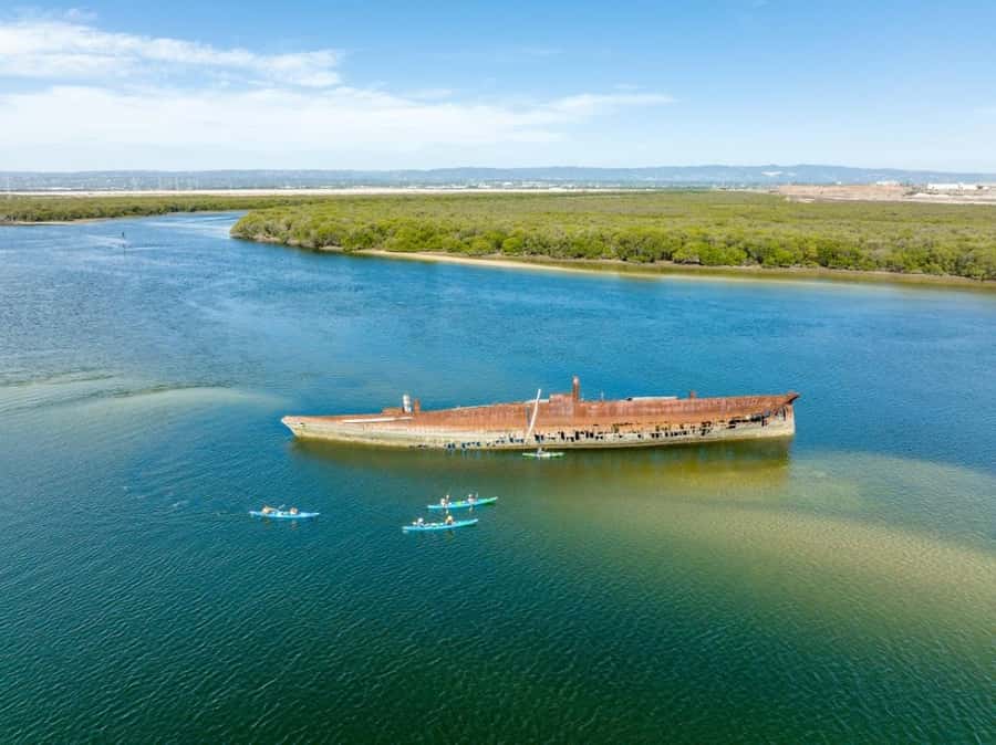 Dolphin Sanctuary and Ships Graveyard Kayak Tour - Kayaking the Port River: why this tour feels like a secret Adelaide stop