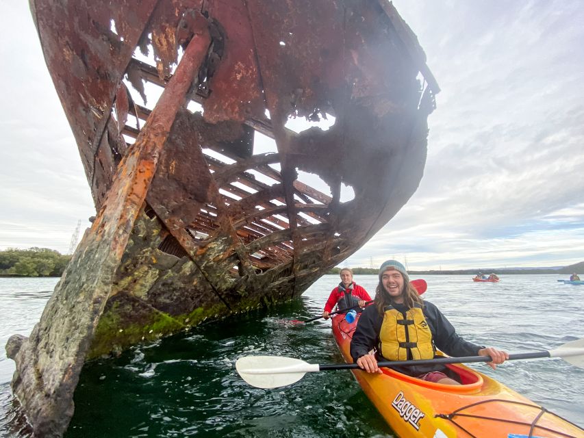 Dolphin Sanctuary and Ships Graveyard Kayak Tour - Birds, marine life, and the real reason mangroves matter