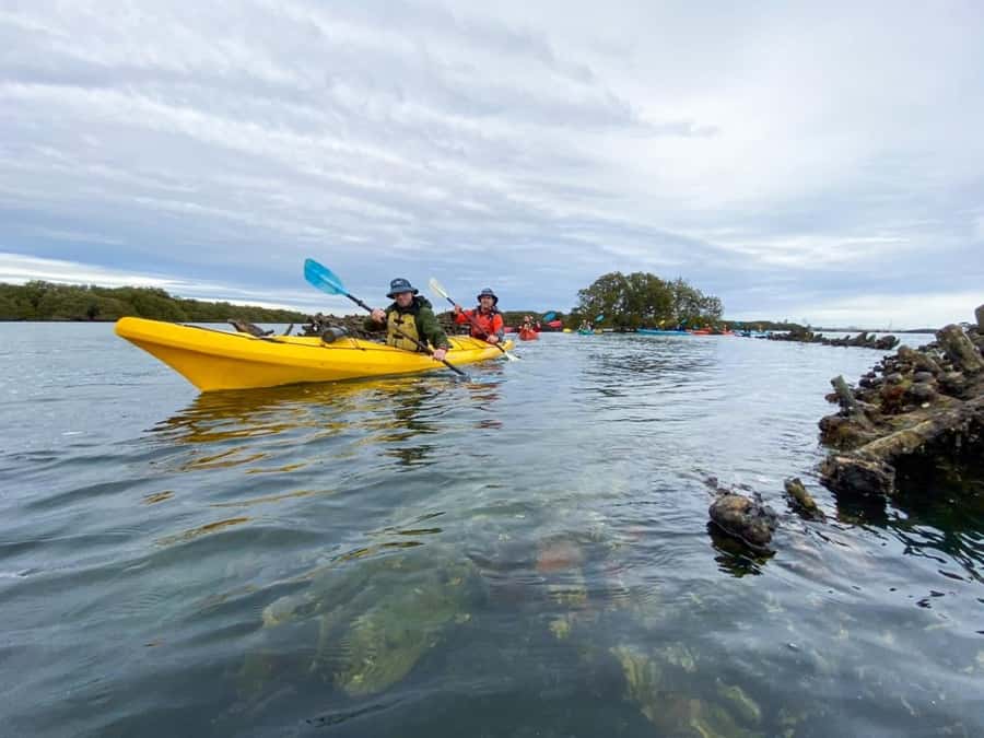 Dolphin Sanctuary and Ships Graveyard Kayak Tour - What to bring (so you don’t feel miserable mid-paddle)
