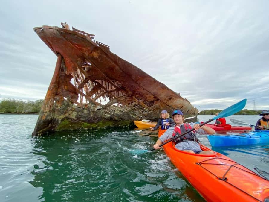 Dolphin Sanctuary and Ships Graveyard Kayak Tour - What you’re really doing for 3 hours (and how hard it feels)