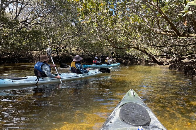 Dolphin Sanctuary Kayak Tour Adelaide - Key things I’d note before you go