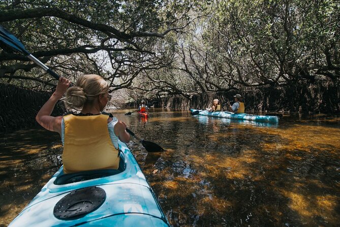 Dolphin Sanctuary Kayak Tour Adelaide - Garden Island start: where the tour begins and why timing matters