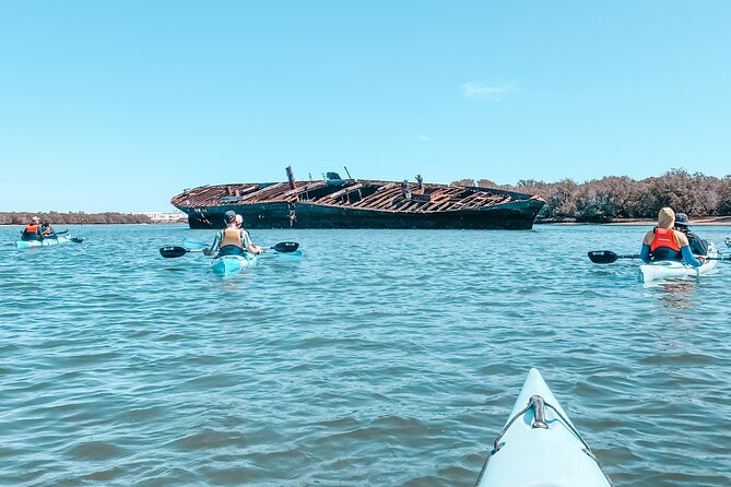 Dolphin Sanctuary Kayak Tour Adelaide - Shipwreck time: the cool photo stop that can change with tides