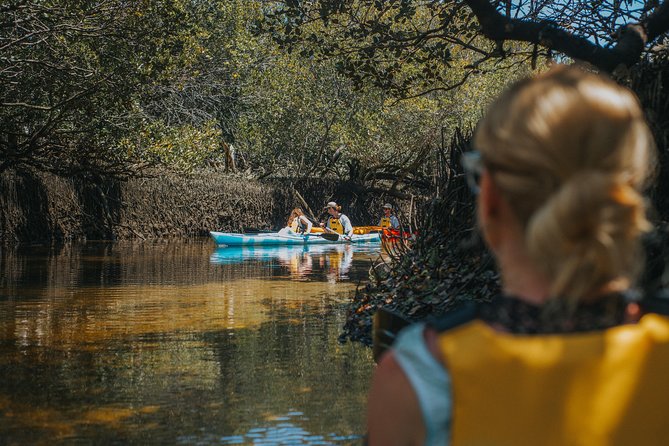 Dolphin Sanctuary Kayak Tour Adelaide - Who this tour fits best (and who should rethink it)